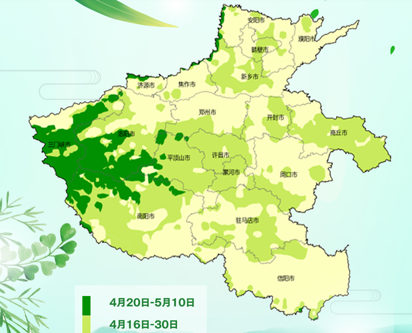 2024河南杨柳絮盛飞预警地图出炉