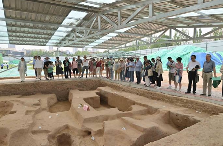 九家博物馆“文博暑期课堂”免费开放！这个夏天，来博物馆“清凉一夏”