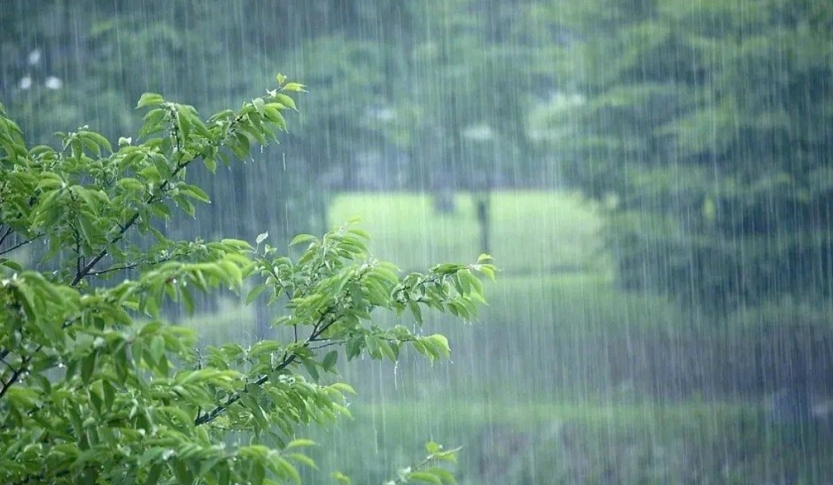 中央气象台发布暴雨黄色预警，河南东南部等地有大到暴雨